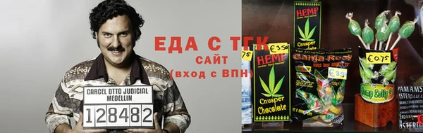 СК Вязьма