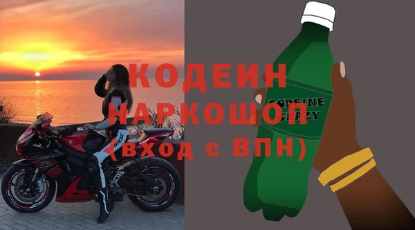 СК Вязьма