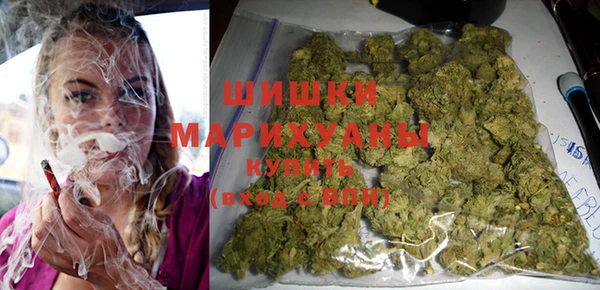 СК Вязьма