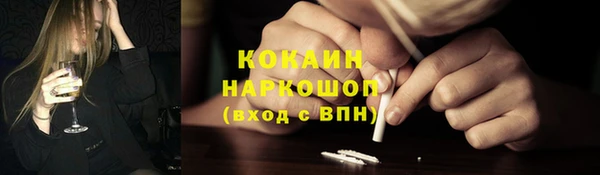 СК Вязьма