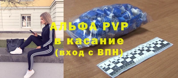 винт Вяземский