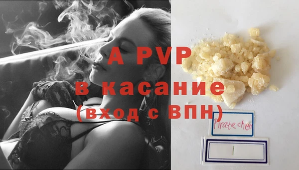 СК Вязьма