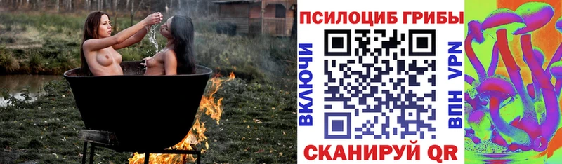 Псилоцибиновые грибы мицелий  дарк нет формула  Барнаул 