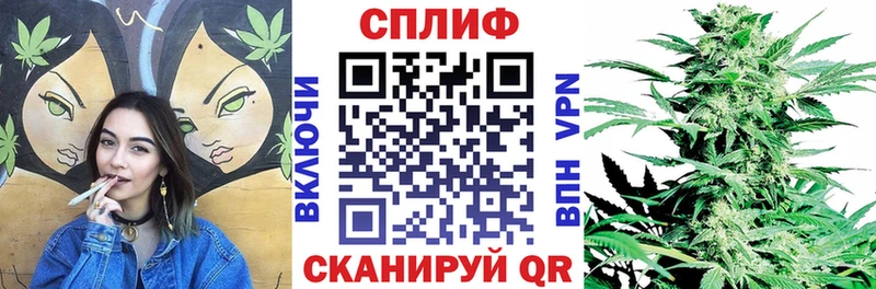 Бошки Шишки VHQ  Барнаул 